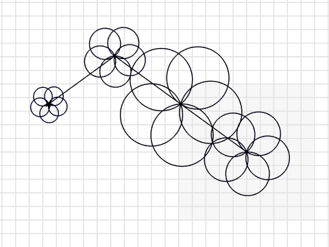 sol and dom flower proj.