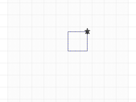 Turtle square