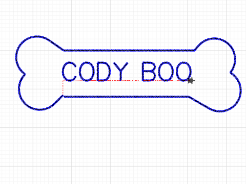 cody bone