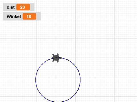 ITS RAINING TURTLES !!!!