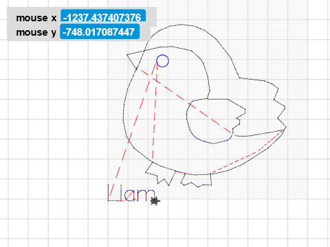 bird liam