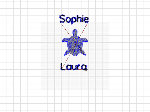 turtle+SophieLaura