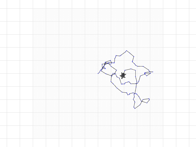 random walk with boundary_by_C